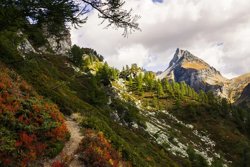 Panorama delle prossime escursioni